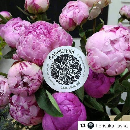 FLORISTIKA Graphics by Vera Kozyakova