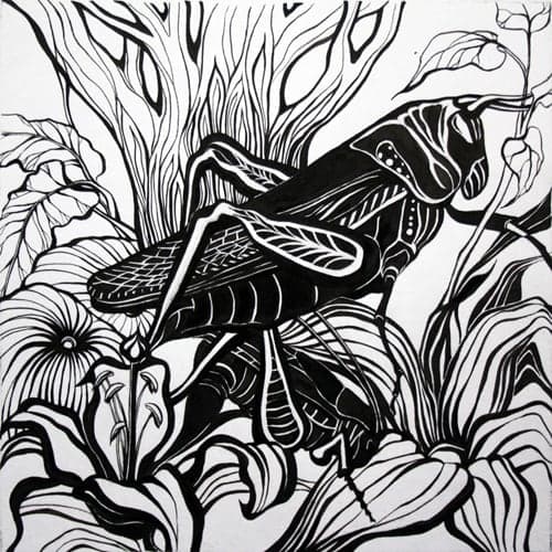 Black & White Graphics by Vera Kozyakova