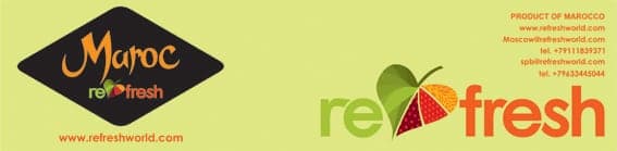 Refresh Company Brand Design by Vera Kozyakova