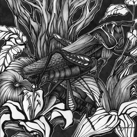 Illustrations 2010 (15*15 cm, Various Techniques) by Vera Kozyakova