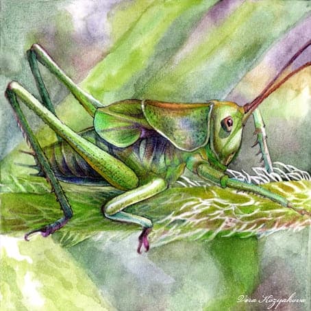 Illustrations 2010 (15*15 cm, Various Techniques) by Vera Kozyakova