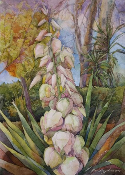 Plein Air Botanical Watercolor 2014 - 2015 by Vera Kozyakova