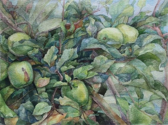 Plein Air Botanical Watercolor 2014 - 2015 by Vera Kozyakova