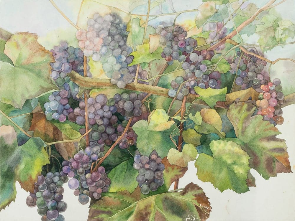 The Taste of September by Vera Kozyakova