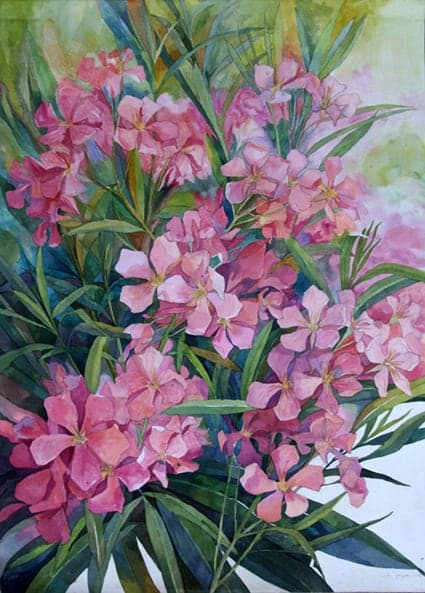 Oleanders by Vera Kozyakova
