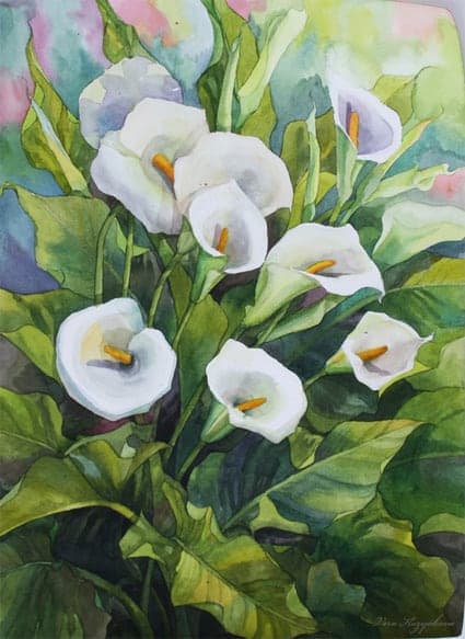 Callas by Vera Kozyakova