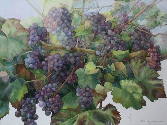 The Taste of September by Vera Kozyakova