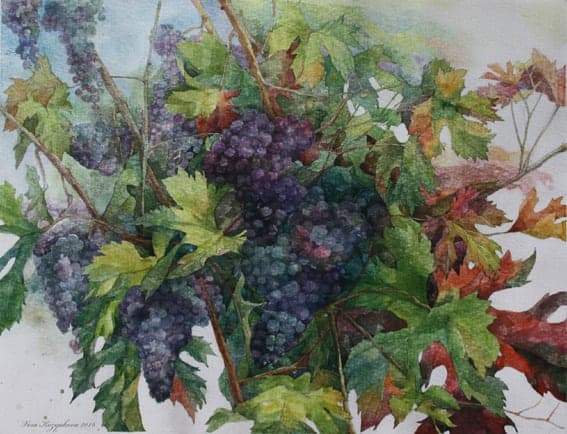 The Vines of Emilia by Vera Kozyakova